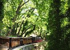 2012.06.30 Fahrt mit der Pilionbahn (56)